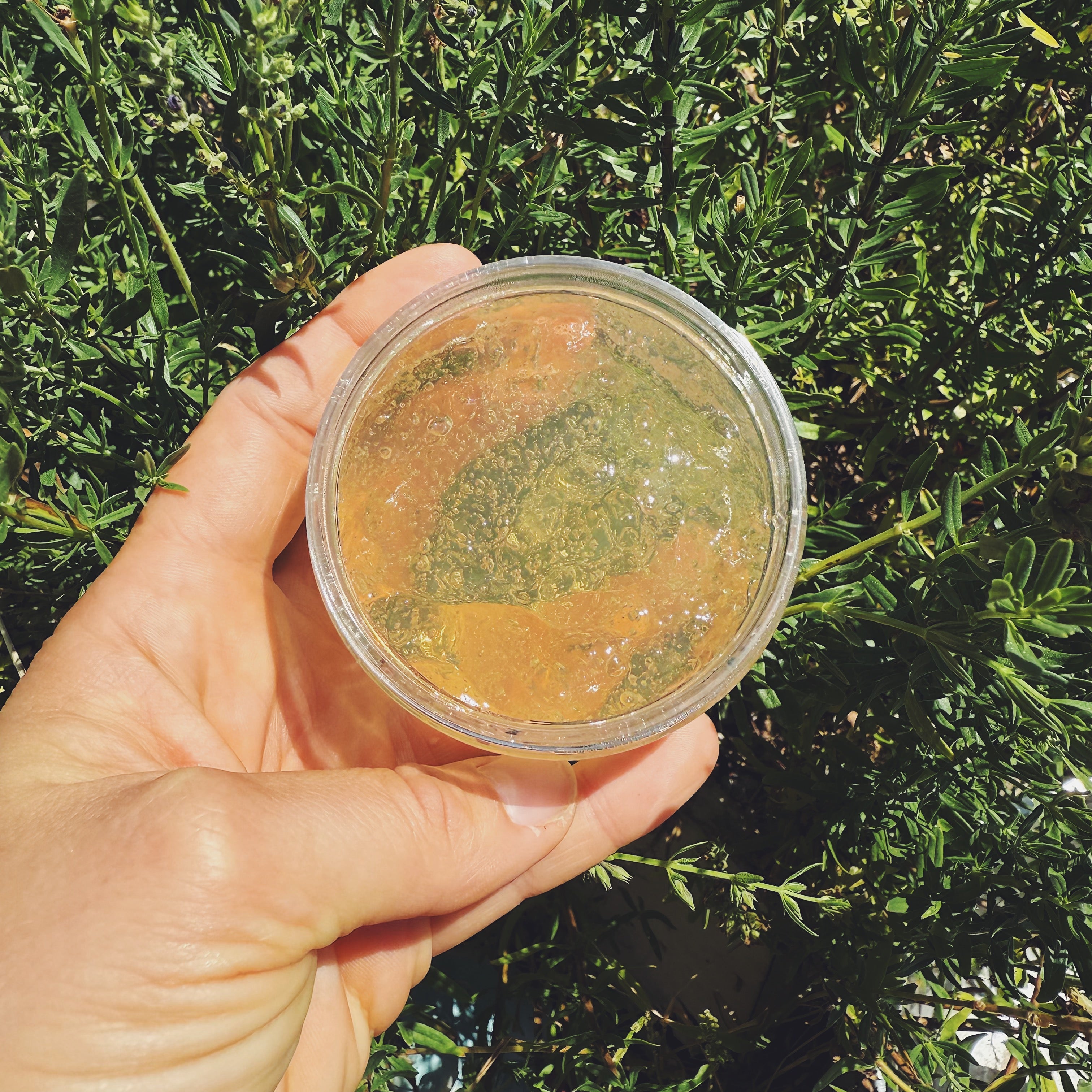 Moon Jelly - Holy Basil Rose Water & Centella Hydro-Jelly